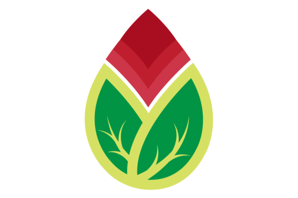 Bloom Graphics for Logo and Design
