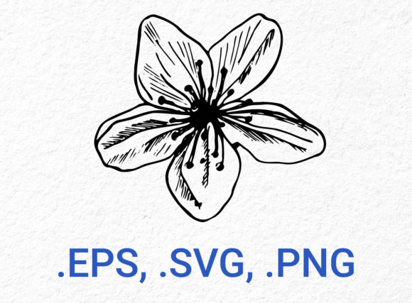 Cherry Blossom Flower Sketch Graphic for Blog and Web Design