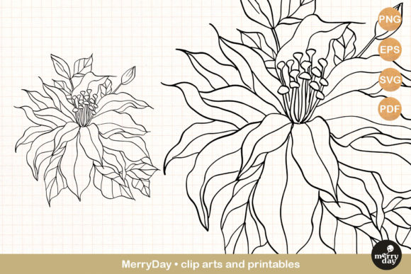 Clematis Summer Flower Graphics for Local Branding